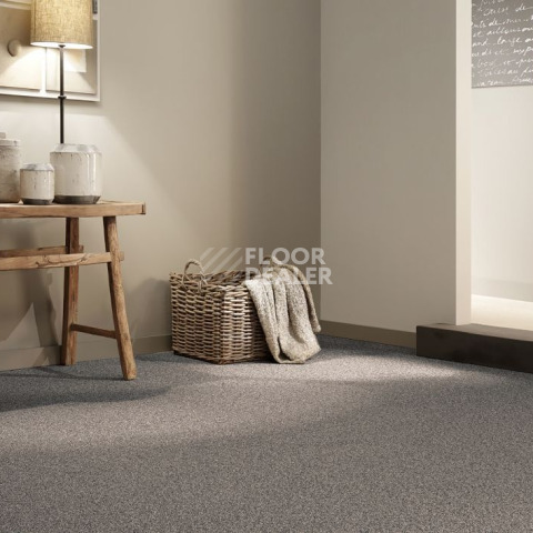 AW Stainguard Harvest 48 фото 2 | FLOORDEALER